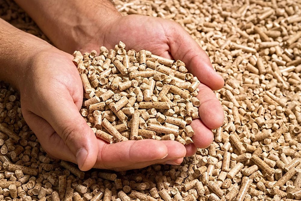 Zwei Hände halten einen Haufen heller Holzpellets über weiteren Pellets im Hintergrund.